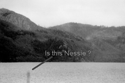 Is it Nessie??